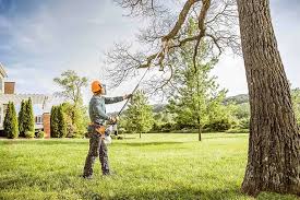 Best Tree Trimming and Pruning  in Hillsborough, CA